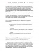 Describe la estrategia de Lenita & XTG y su proceso de reestructuración.