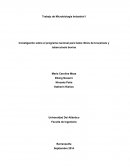 Hatos libres de brucelosis en colombia