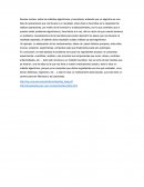 Metodos algoritmicos y heuristicos.