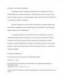 ESTUDIO Y ANÁLISIS ECONÓMICO.