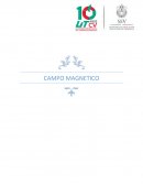 CAMPO MAGNETICO ENSAYO