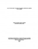 LA LEY 789 DE 2002 Y SU IMPACTO SOBRE EL MERCADO LABORAL EN COLOMBIA