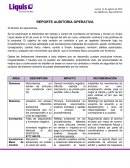REPORTE AUDITORIA OPERATIVA