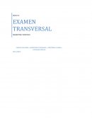 EXAMEN TRANSVERSAL MARKETING TURISTICO