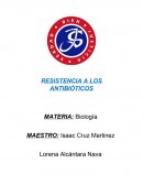 RESISTENCIA A LOS ANTIBIÓTICOS.