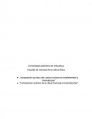 Procesos quimicos del cuerpo humano.