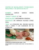 LA ATENCION DEL RECIEN NACIDO VIVO Y SANO Y LOS CUIDADOS EN SU ATENCION. [pic 1]