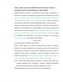 Memorial excepciones laborales