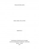 Producción mas limpia.