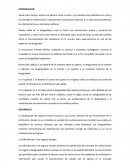 Ensayo desigualdad de pindick.