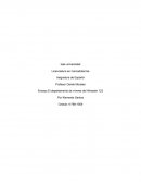 Ensayo El departamento de víveres del Almacén 123