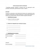 Informe Grupal Creación de Empresa