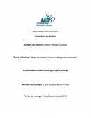 Tarea Individual: “Mapa conceptual sobre la inteligencia emocional ”