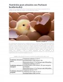 Mucho se ha comentado sobre la importancia de una buena recepción de los pollitos broiler BBs para lograr una producción exitosa....