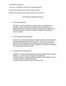 Técnicas de Representación.