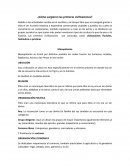 Primeras civilizaciones..