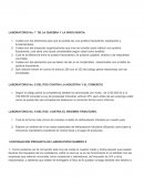 LABORATORIO No. 7 DE LA QUIEBRA Y LA INSOLVENCIA.