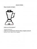 ¿Cómo es su forma exterior?