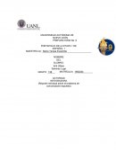 Reporte individual sobre el problema de comunicación expuesto