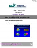 Herramientas y Estrategias de ventas. “Estructura de ventas."