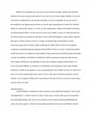 Universos paralelos literario.