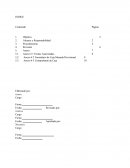 Politica de caja menuda.