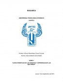 Caracteristicas de las arqueas y diferencias de las bacterias