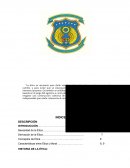 Ética y moral profesional.