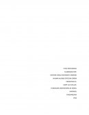 Etica y el lobo de wall strett.