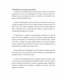 Identificación y descripción del problema.