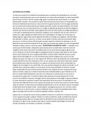 LAS RAICES DE UN ARBOL.