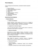 Formato plan de negocios.