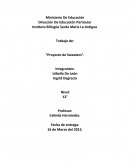 Logística- “Proyecto de Sweaters”.