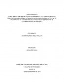 Cómo puedo contribuir desde mi experiencia, mi comportamiento y rol profesional a la construcción de la paz en mi contexto de vida?