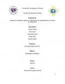 ESTRATEGIA COMPETITIVA EN UNA EMPRESA.