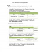 CASO PRESUPUESTO STRATEX RAMSA