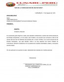 Documentos oficiales de la central única provincial de rondas campesinas - Mariscal Cáceres