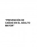 Prevención de caídas del adulto mayor.