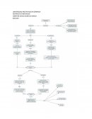 CONCLUSIONES INVESTIGACION DE MERCADO