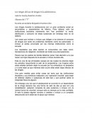 Lo que ya habia puesto.