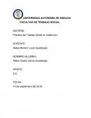 LA PRÁCTICA PROFESIONAL DEL TRABAJO SOCIAL
