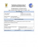 Ejemplo de reporte mensual de servicio social