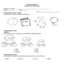 BATERIA PEDAGOGICA COMPETENCIAS CURRICULARES