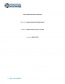 DEBER III DEL SEGUNDO INTERCICLO¿Qué es un conflicto?