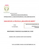 INTRODUCCIÓN A LA EDUCACIÓN ESPECIAL E INCLUSIÓN EDUCATIVA ANALISIS DE LA PELICULA ¿MILAGRO DE AMOR?