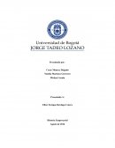 Ensayo historia empresarial