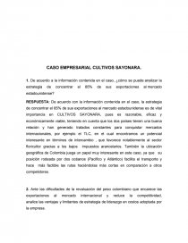 CASO EMPRESARIAL CULTIVOS SAYONARA.. Página 1