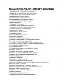 100 musculos del cuerpo humano