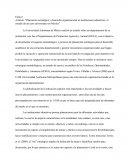 Ensayo sobre revisión de Articulo