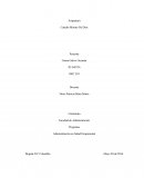 Programa Administración en Salud Ocupacional